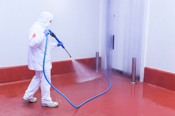 Best Deck and Patio Pressure Washing in Aragon, GA