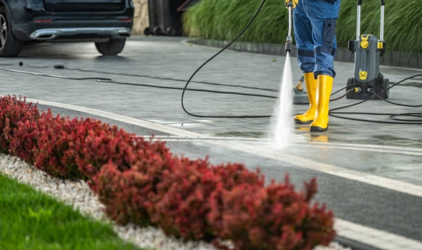 Best Driveway Cleaning and Restoration in Aragon, GA
